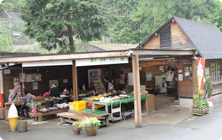 野菜直販 森のもりもり館