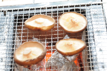 2.獲りたてしいたけでバーベキュー 11:00~14:00頃